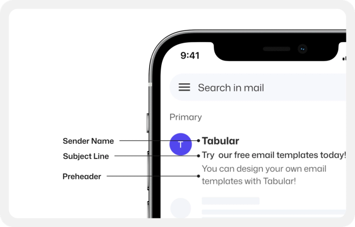 Email preheader showing sender name, subject line, and preheader text.